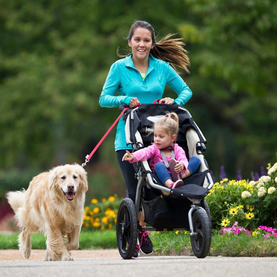 mother and child jog with a dog in a neighborhood